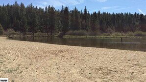 Una playa arenosa con un lago tranquilo y un bosque denso al fondo.