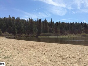 Una spiaggia sabbiosa con un lago calmo e una fitta foresta sullo sfondo.