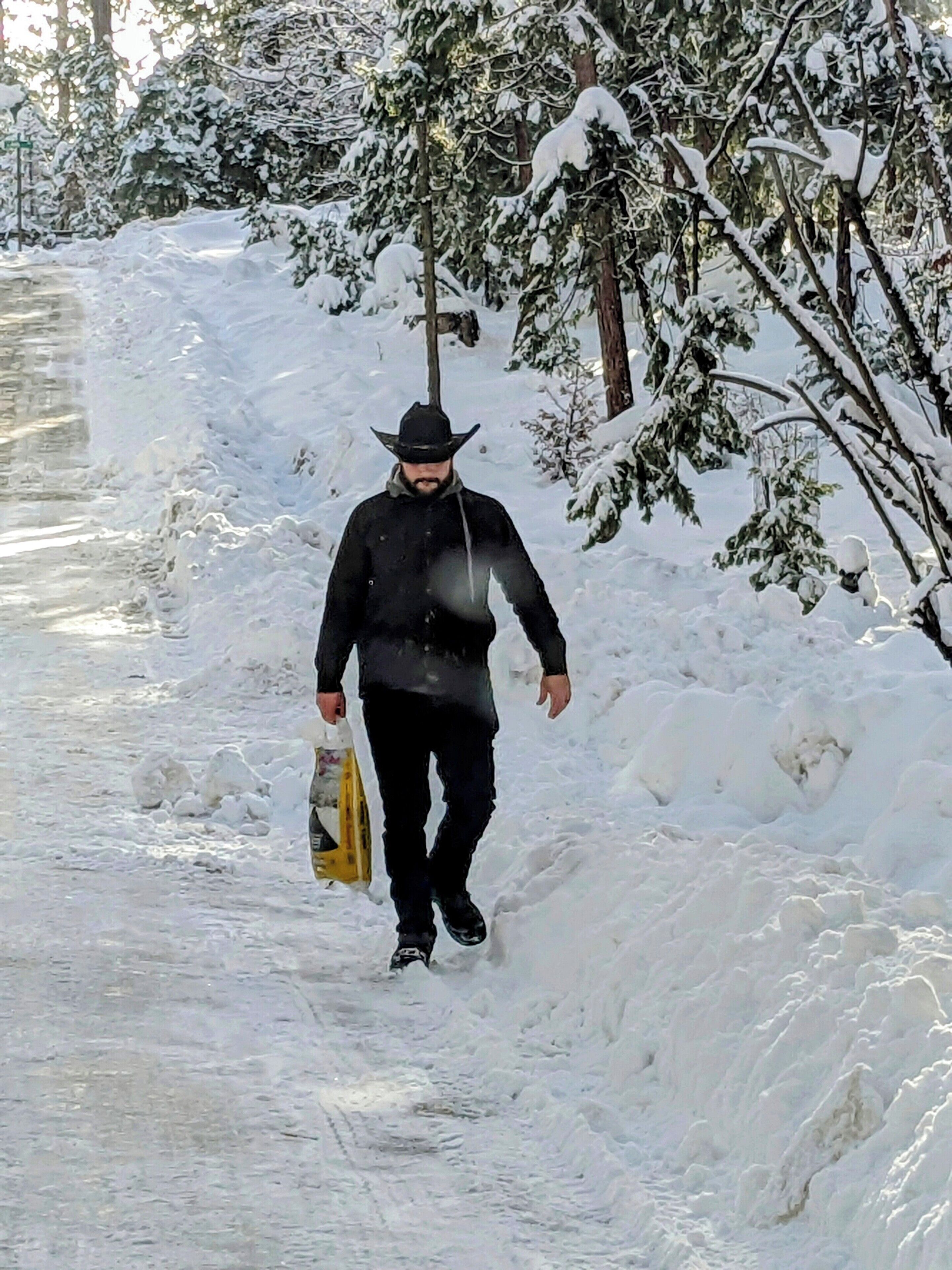 A person walking on a snow-covered path with trees on either side.