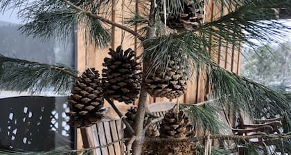 Retreat at Saviour Trail, New Mexico for your Reunion or Family get away