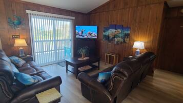 TV connectée, cheminée, lecteur de DVD, baby-foot