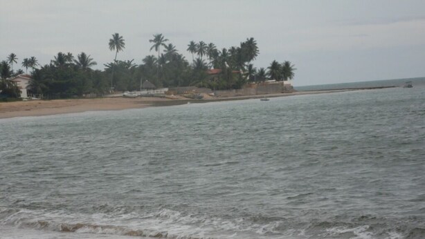 Une plage avec des vagues, des palmiers et un bateau au loin.