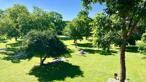 A park with picnic tables and trees. - 2 Night MIN Only MDW | 2 Pools/4 Hot Tubs (New Braunfels)