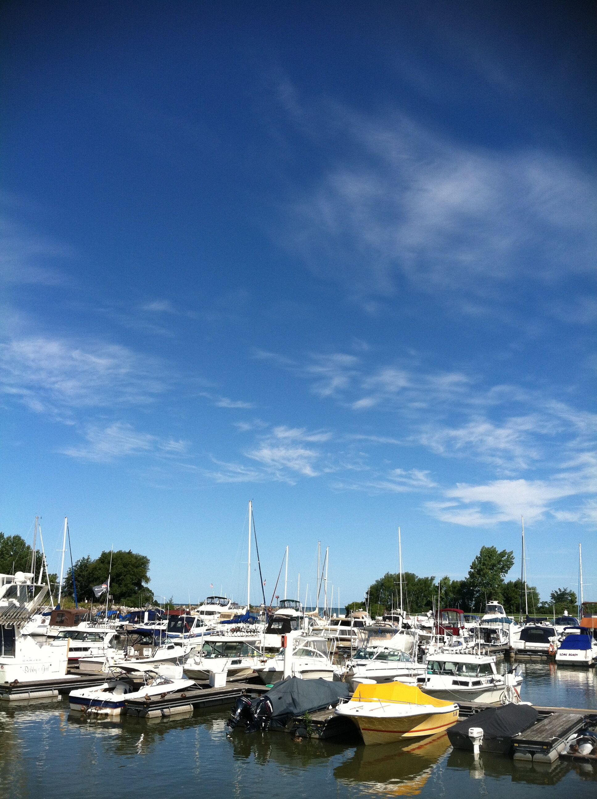 The Harbor 