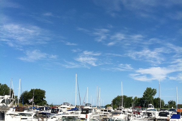 The Harbor