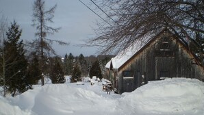 Eksteriør