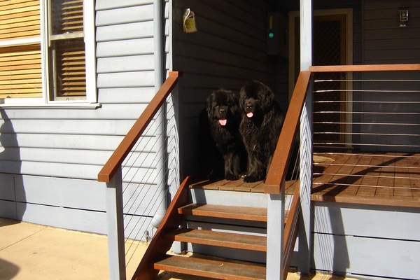 Welcome to our cottage