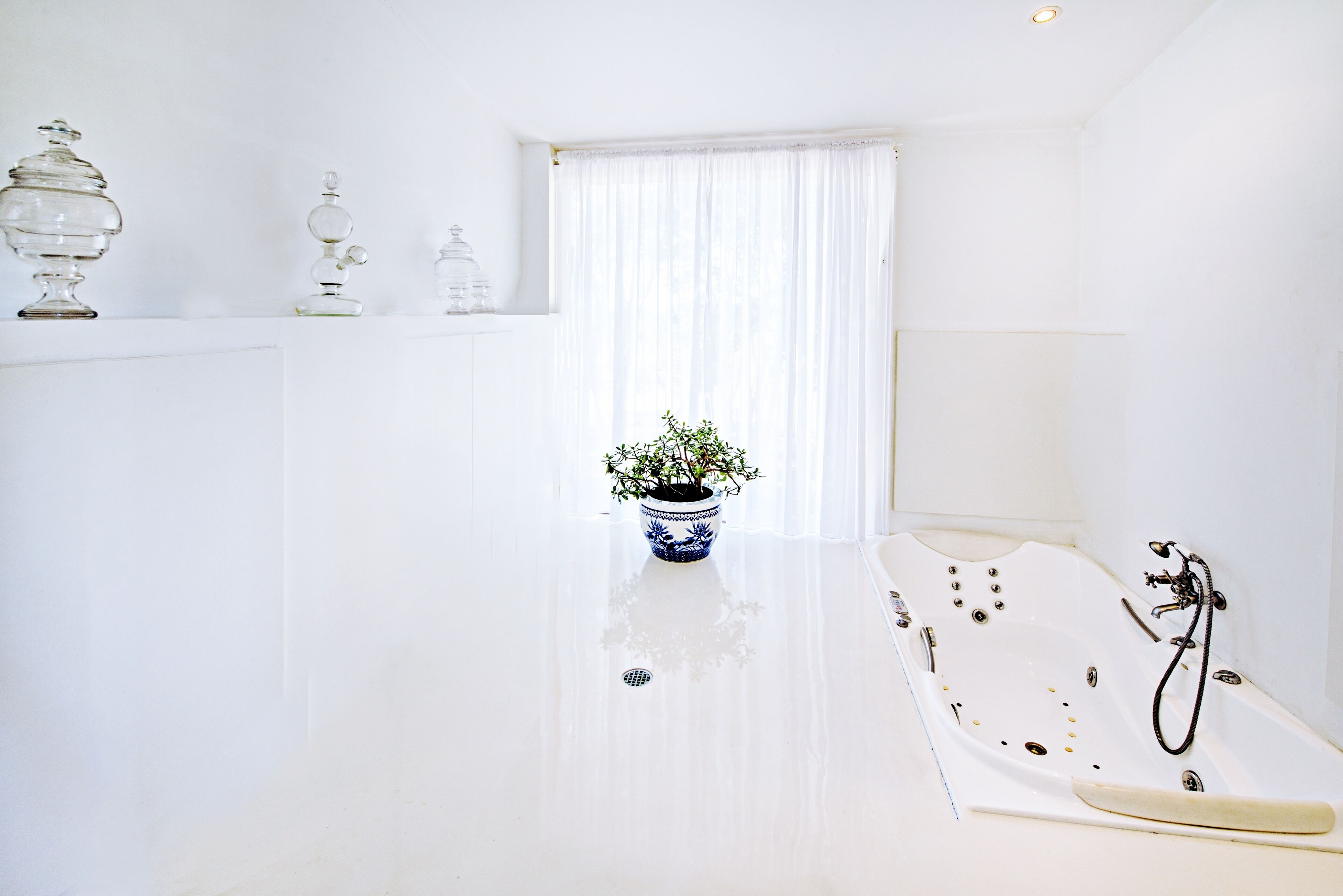 Tranquilo Beach House Large pool, wildlife reserve on Oceanfront