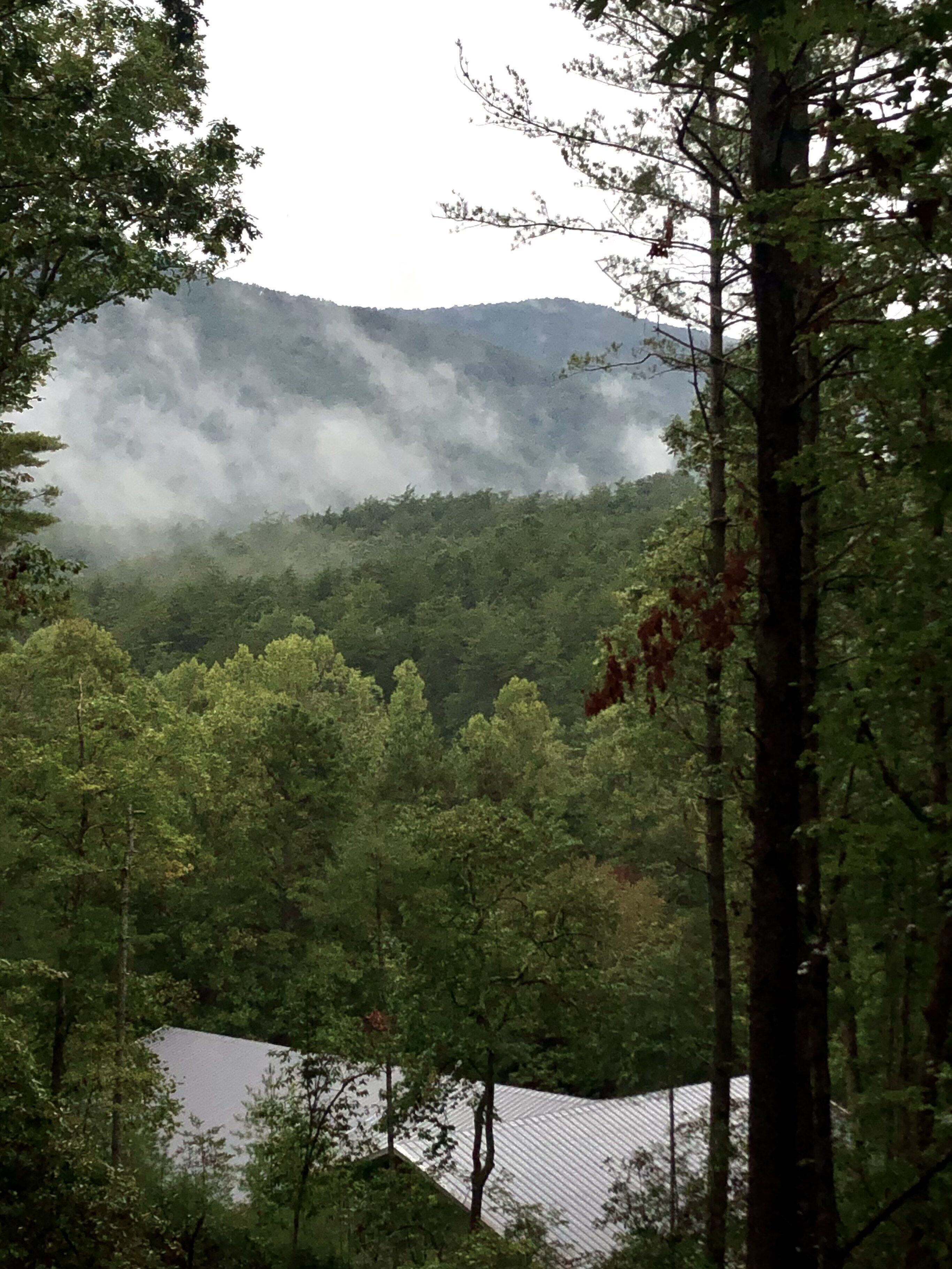 A forested landscape with a mountain in the background and a building with a sloped roof in the foreground.