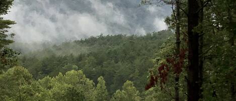 A forested landscape with a mountain in the background and a building with a sloped roof in the foreground.