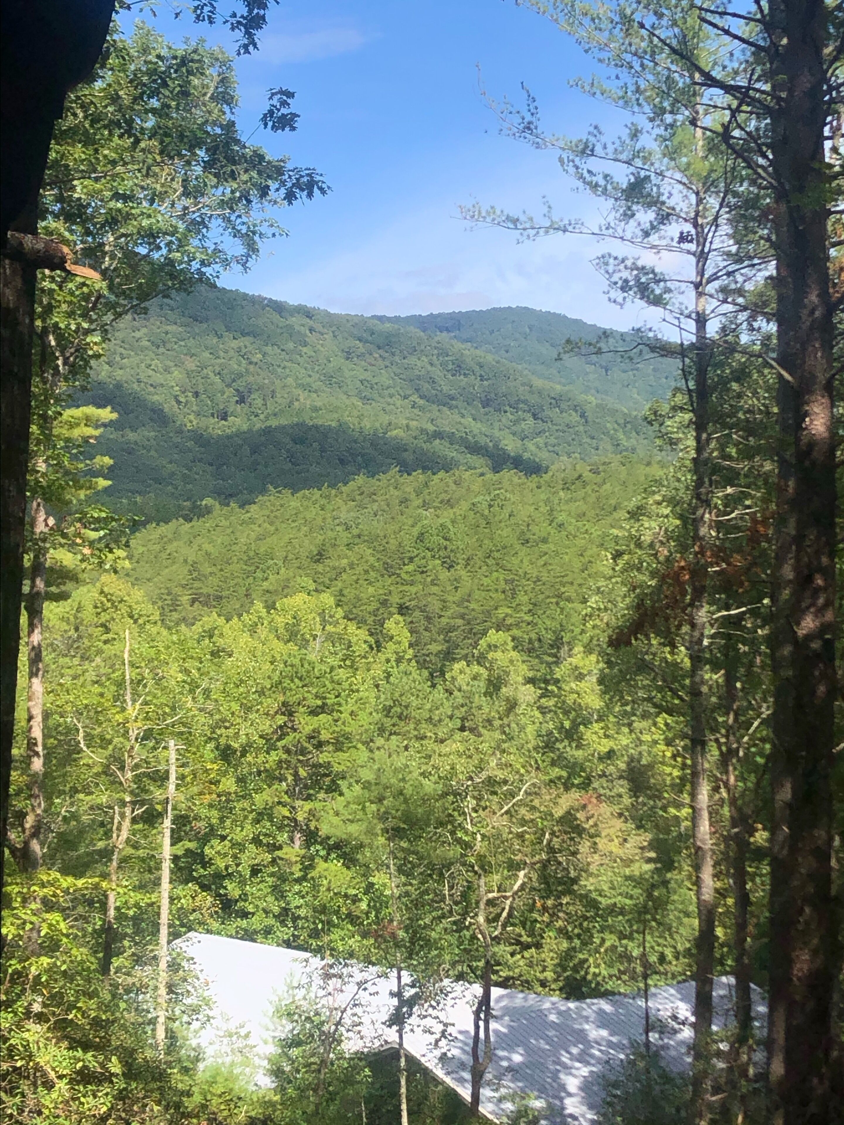 A forested mountain landscape with a house visible in the foreground.