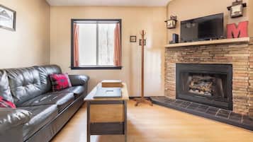 Smart TV, fireplace, DVD player, video library