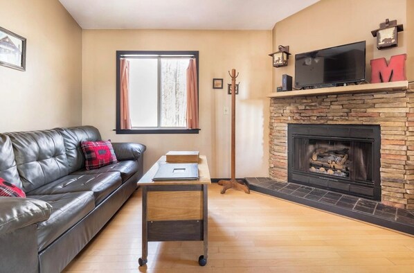 Smart TV, fireplace, DVD player, video library