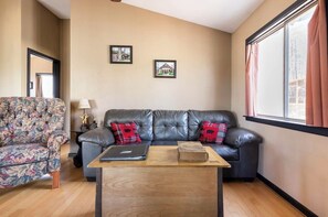 Smart TV, fireplace, DVD player, video library