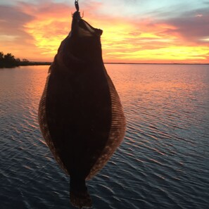 A majestic fish hangs from a hook, set against a serene body of water.