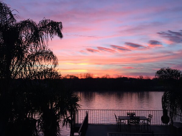 Enjoy serene lakeside dining with a table and chairs surrounded by lush palm trees.