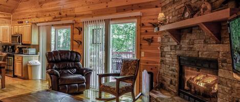 Televisión, chimenea, reproductor de DVD, libros