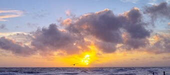 Quiet Nights of Quiet Stars on Anna Maria Island