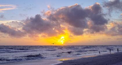Quiet Nights of Quiet Stars on Anna Maria Island