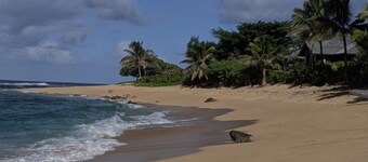 ハナレイ湾のオールドスタイルビーチハウス