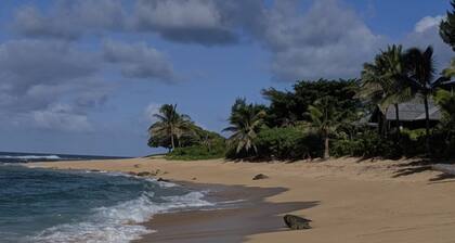 Old Style beach house on Hanalei Bay;stunning mountain view, ocean breezes