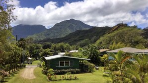 A green house with a small porch, surrounded by lush greenery and a mountain in the background.