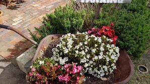 A wooden sign indicating a parking area, surrounded by a flower bed with white and pink flowers, and a brick pathway. - THE STABLE WILLYUNG WA (Willyung)