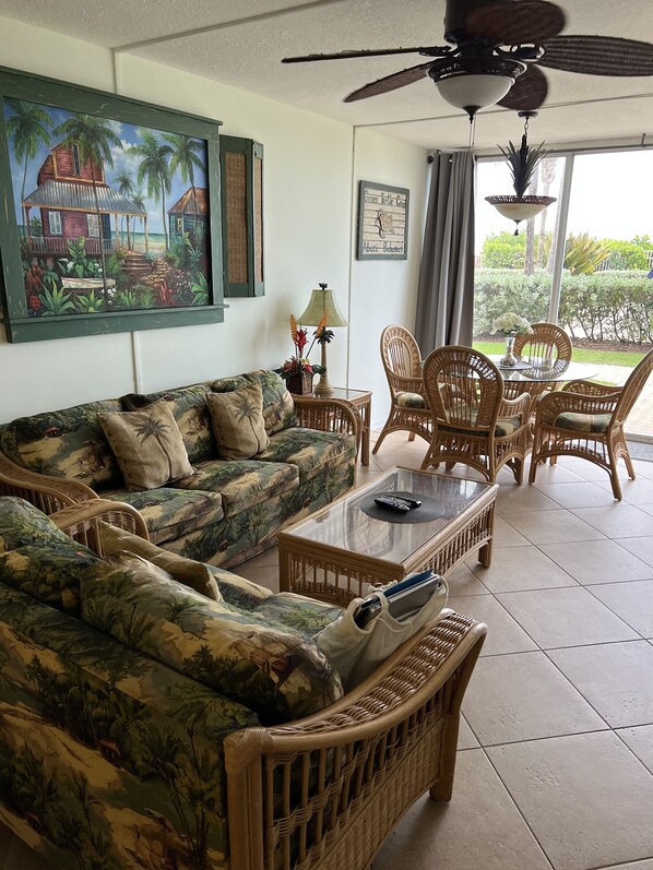 Smart TV, DVD player, books, video library