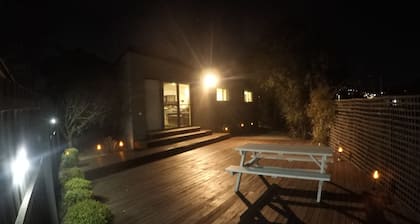 3D Cinema, 8 Pinballs, video games, Sleeps 7 - 5mins to MONA