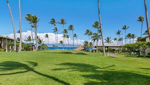 A grassy area with palm trees and a building in the background.