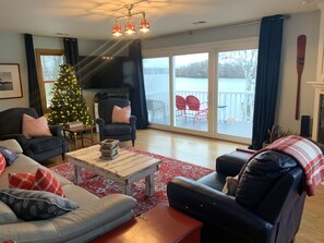 Smart TV, fireplace, DVD player, books