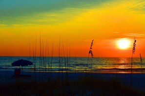 On the beach, sun-loungers, beach towels - DIRECTLY ON THE BEACH -Perfect for a Family Vacation. (Indian Shores)