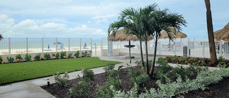 Un jardín bien cuidado con césped, palmeras y un área cercada con sillas y sombrillas de playa.