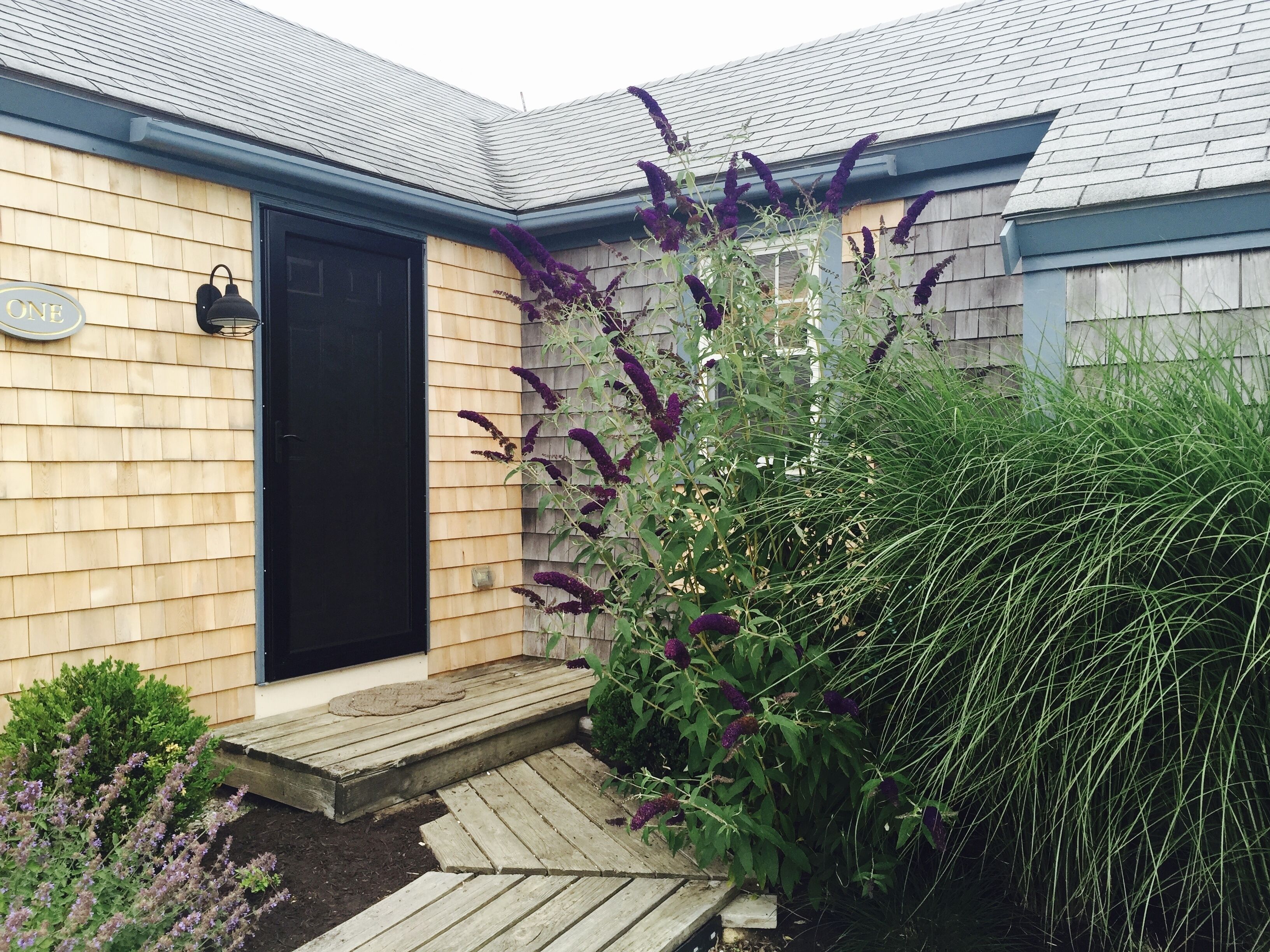 Lovely Madaket cottage WONDERFUL for families. 