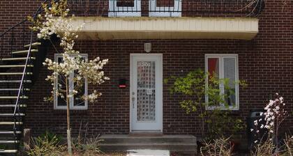 Lovely and quiet location near the Botanical Garden, 15 min downtown.