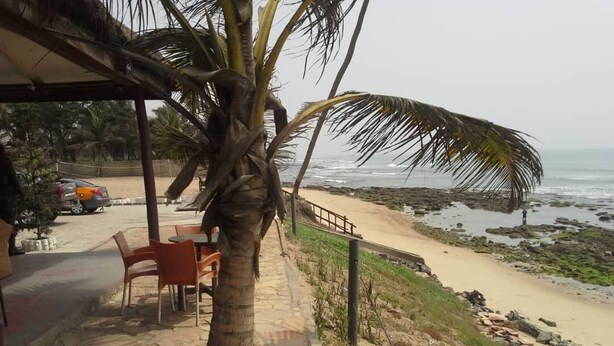 Ein Sitzbereich am Strand mit einer Palme, einem Steinweg und Blick auf das Meer.