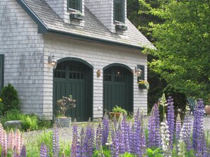 A house with two green doors, a small porch, and a garden with purple flowers. - WALK TO ACADIA'S TRAILS, OCEAN FROM THIS QUIET, CHARMING CARRIAGE HOUSE (Southwest Harbor)