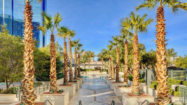 A pathway lined with palm trees leading to a building with a glass facade.