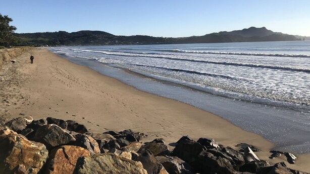 A beach with a rocky foreground, a person walking, and a distant mountain range. - Serenity - our home away from home (Whitianga)