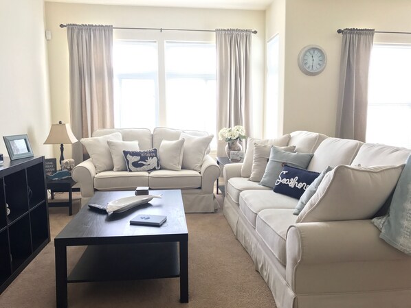 TV, DVD player, books, video library