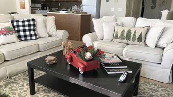 TV, DVD player, books, video library