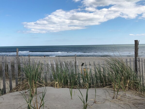 Beach nearby, sun loungers, beach towels