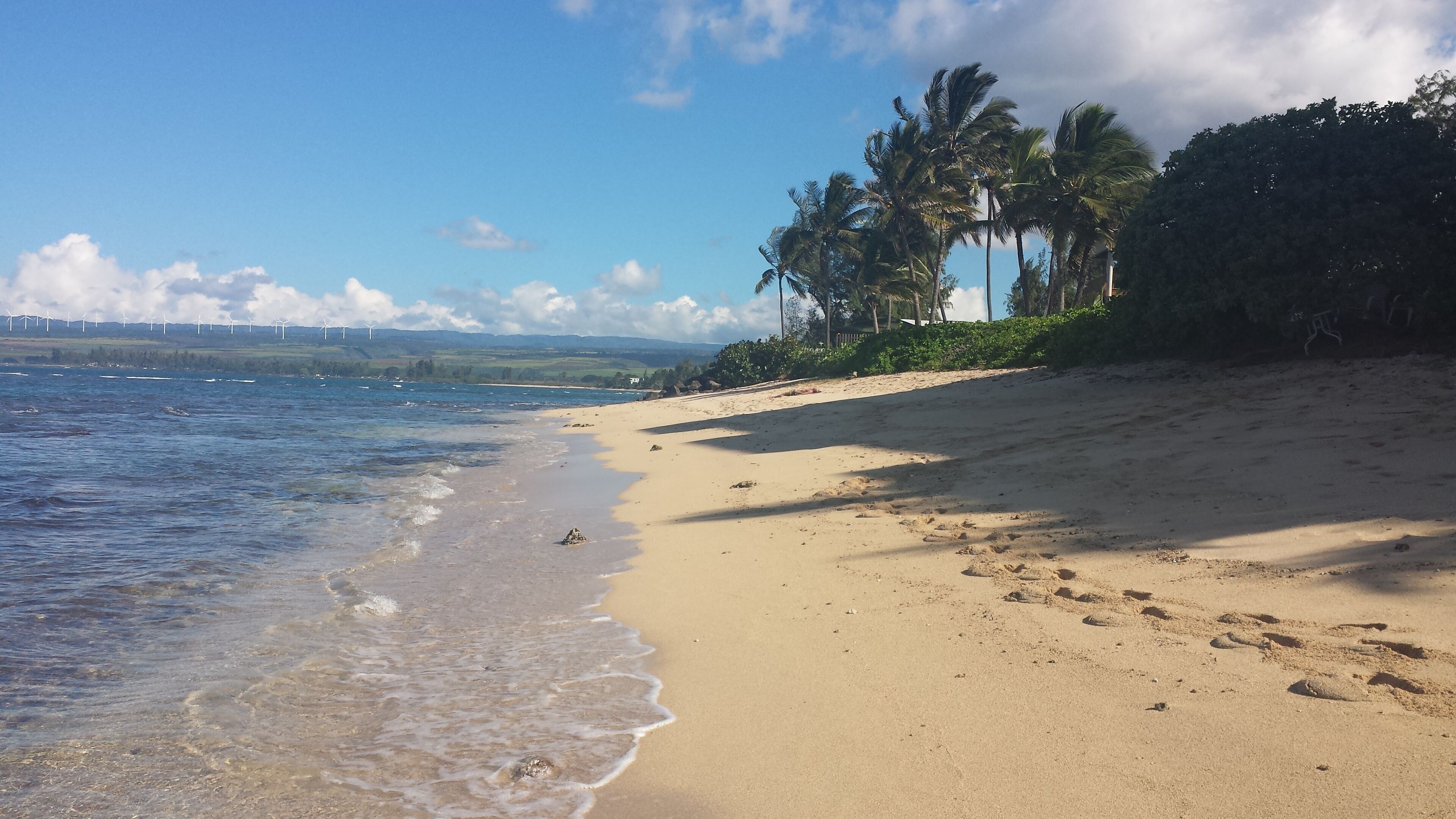 On the beach, sun loungers, beach towels