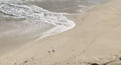 Aqua Dreams, At Beach w / Guesthse, 4 Kng bedrms, 3 1/2 baths, Sleeps 14, Lg Spa !!