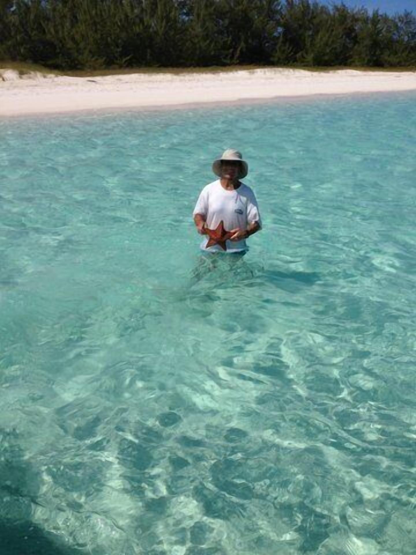 Eine Person steht in klarem, flachem Wasser, im Hintergrund ein sandiger Strand und dichtes Grün.