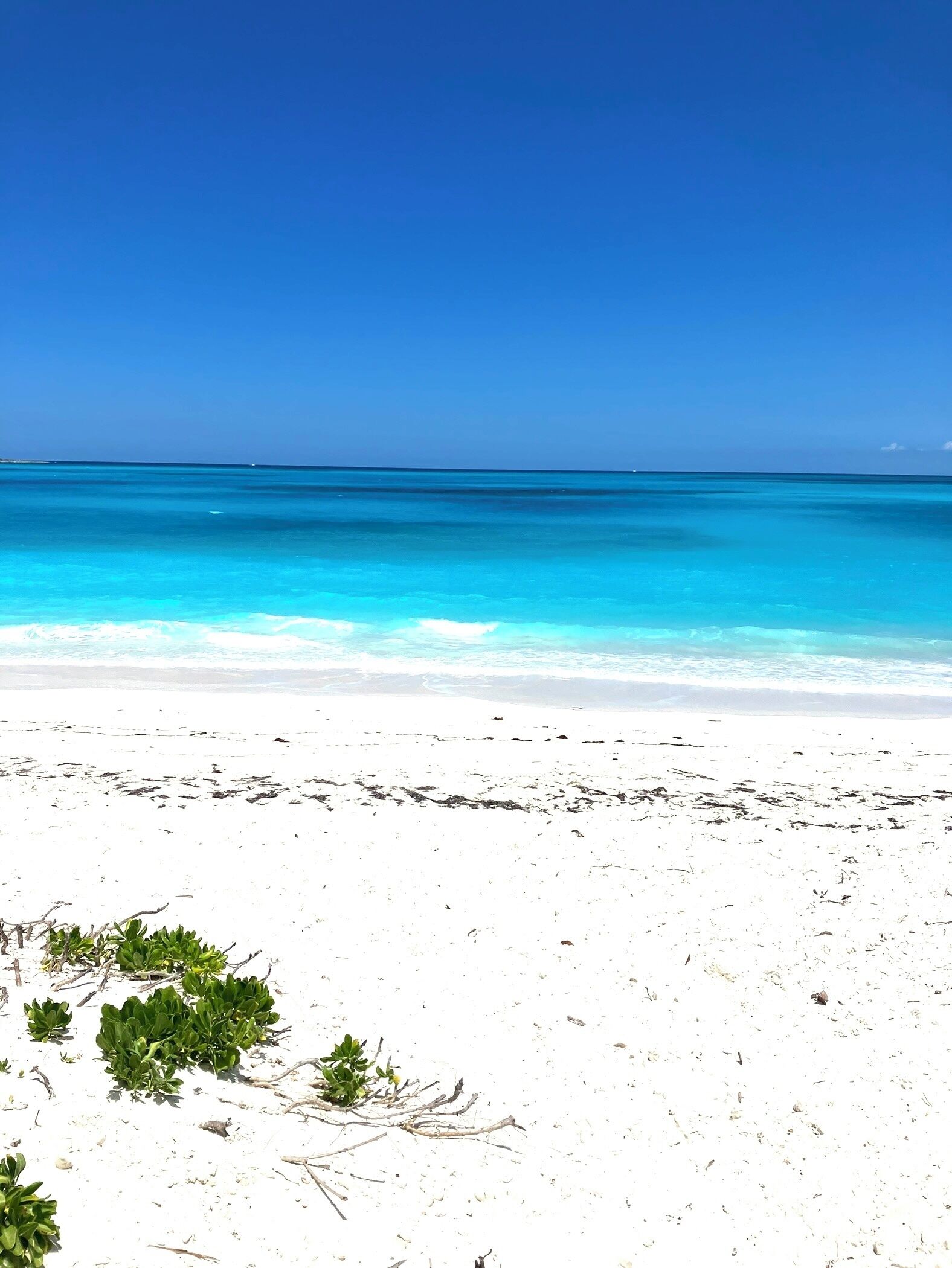 Plage, chaises longues, serviettes de plage