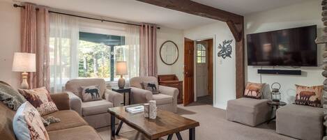 Una Smart TV, una chimenea, libros, una videoteca