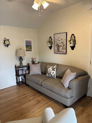 TV, DVD player, books, video library