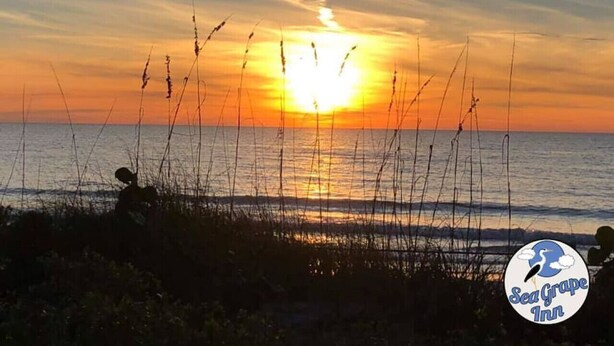 Beach nearby - Sea Grape Inn #3 - Beachfront Property (Longboat Key)