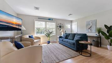 Smart TV, Hulu, books, streaming services